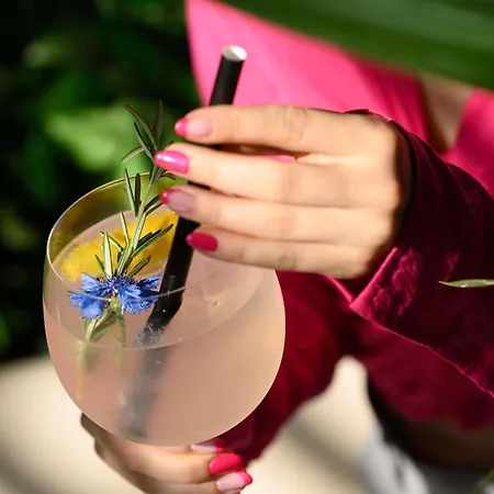 Hotel Tribe Stadium 4*